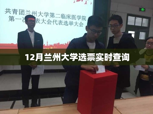 兰州大学选票查询系统实时更新