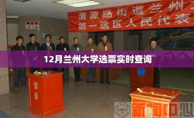 兰州大学选票查询系统实时更新