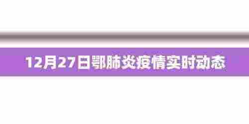 鄂肺炎疫情最新实时动态（12月27日）