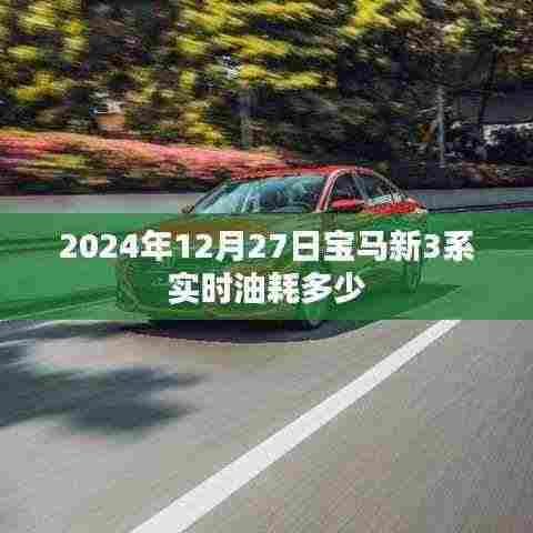 宝马新3系实时油耗数据(2024年12月)