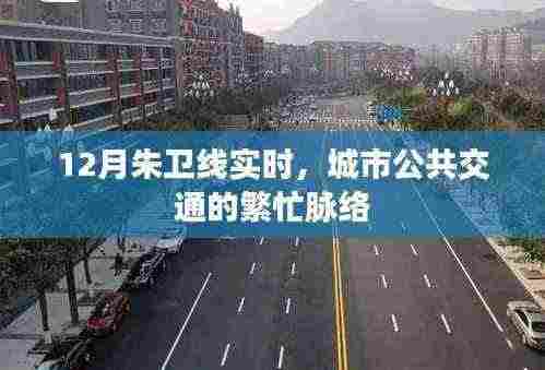朱卫线实时动态,城市公交繁忙脉络解析