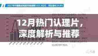 12月热门认理片深度解析与推荐