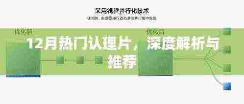 12月热门认理片深度解析与推荐
