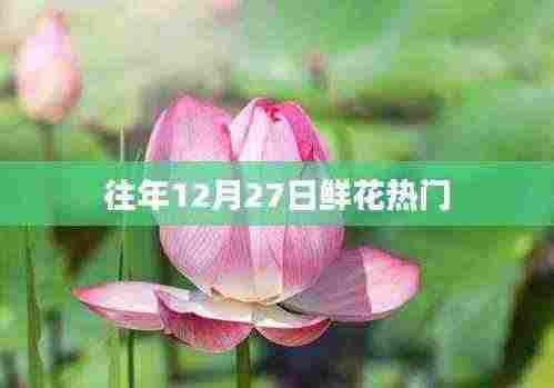 往年12月27日热门鲜花盘点