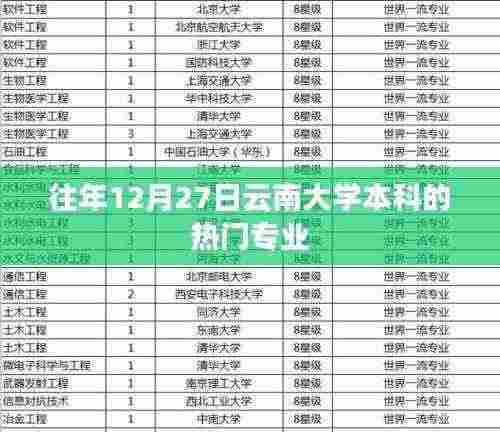 云南大学热门本科专业往年招生概览