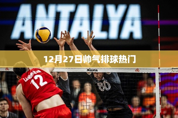 12月27日排球热潮,魅力与技艺的完美结合
