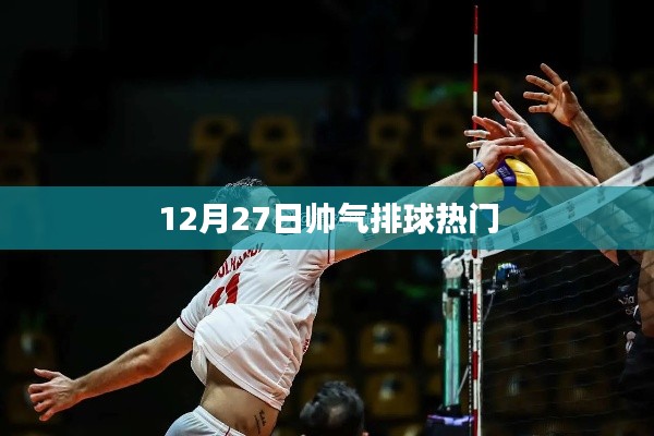 12月27日排球热潮,魅力与技艺的完美结合