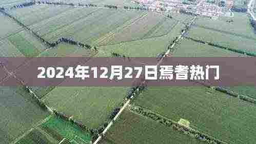 焉耆热门活动2024年12月27日一览