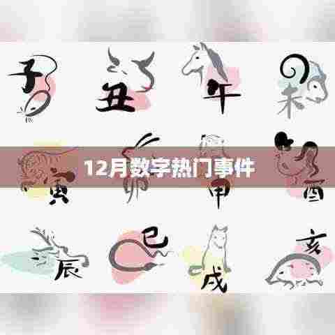 12月数字热门事件回顾与盘点