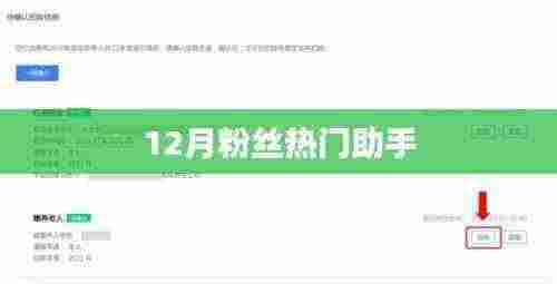 12月粉丝热门助手，引领潮流的秘密