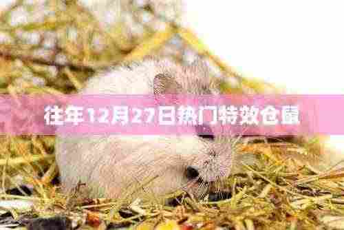 往年年末仓鼠特效盘点,热门特效回顾