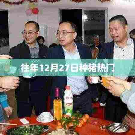 往年12月27日种猪市场动态