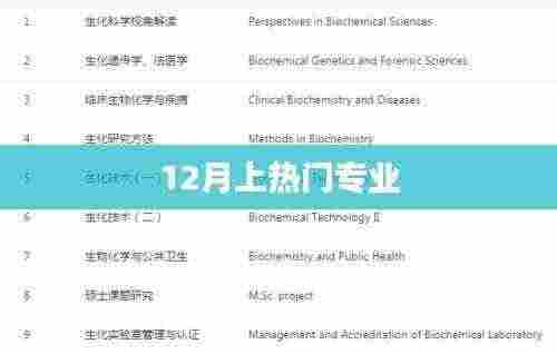 热门专业趋势解析,聚焦十二月热门选择