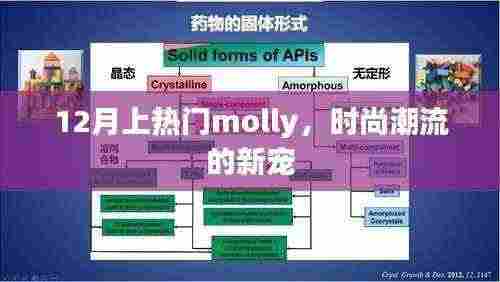 时尚新宠Molly引领潮流风潮，十二月热门之选