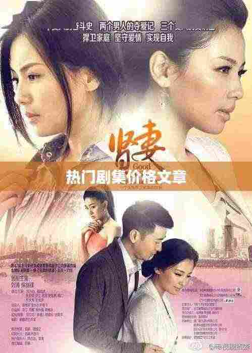 热门剧集价格解析