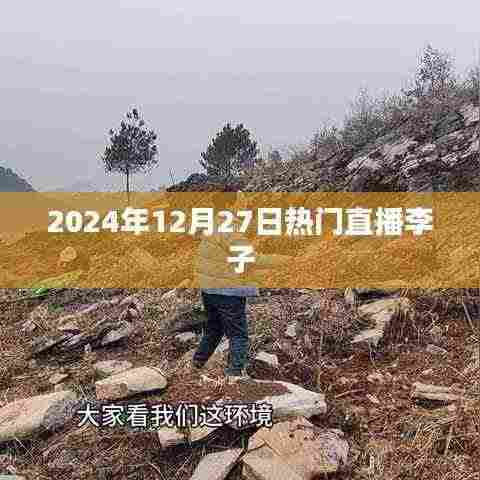 李子直播热潮，2024年12月27日热门直播