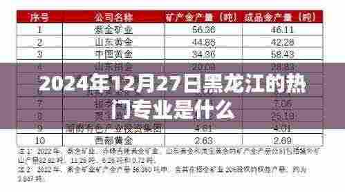 黑龙江热门专业趋势解析,2024年最新动态