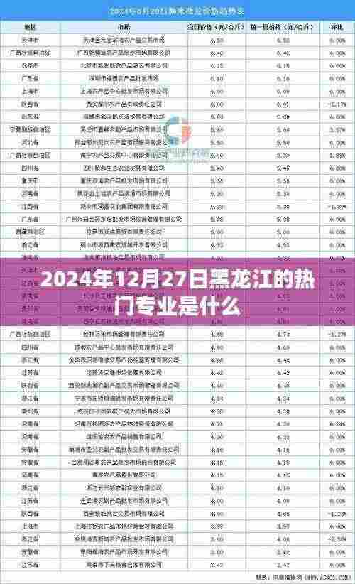 黑龙江热门专业趋势解析,2024年最新动态
