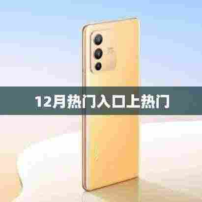 12月热门入口流量飙升，揭秘热门背后的秘密