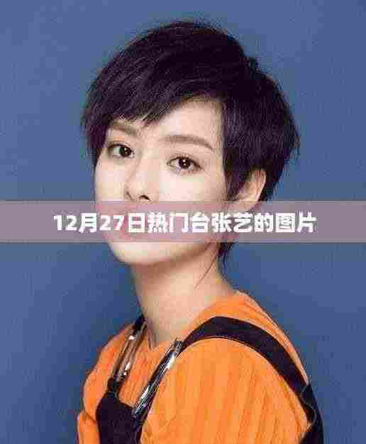 张艺图片集,精选十二月热门风采