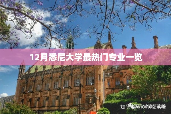 悉尼大学十二月热门专业盘点