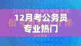 12月公务员考试热门专业解析