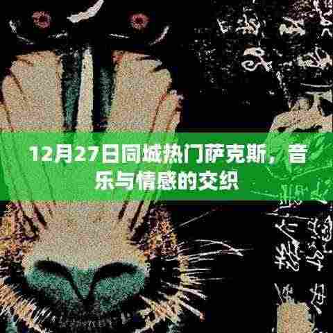 萨克斯音乐盛宴,情感与旋律的交融之夜