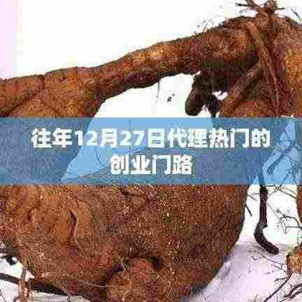 年终热门创业代理门路解析