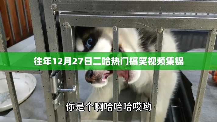 『往年年终爆笑回顾,二哈12月27日搞笑视频精选』