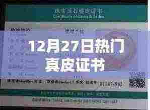 热门真皮证书揭晓,品质之选尽在掌握!