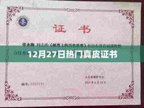 热门真皮证书揭晓,品质之选尽在掌握!