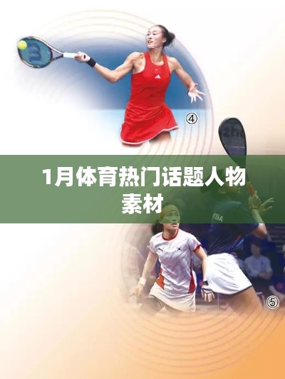 撺哄鸟乱 第4页