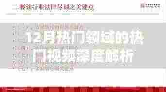 热门领域热门视频深度解析,揭秘十二月热点