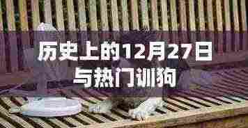 历史上的大事件与热门训狗技巧