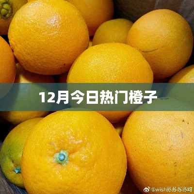 最新热门水果资讯,橙子独占鳌头