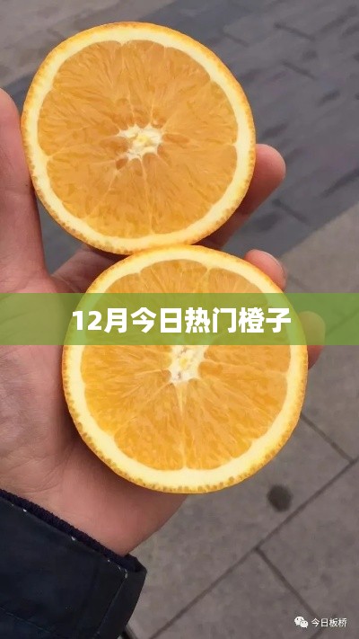 最新热门水果资讯,橙子独占鳌头