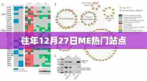 坌鸟先飞 第4页