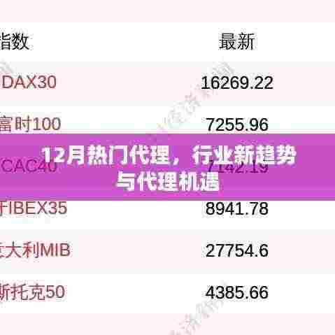 12月热门代理行业新趋势与机遇解析