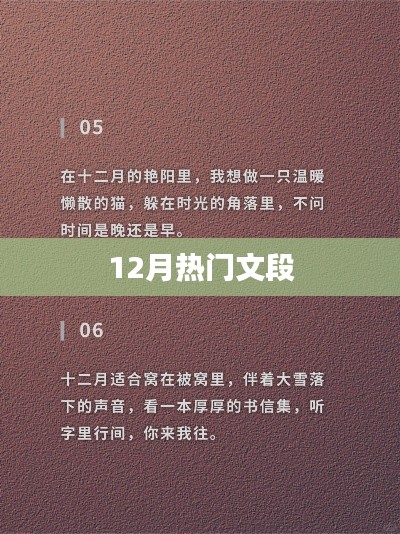 精选十二月热门文段赏析