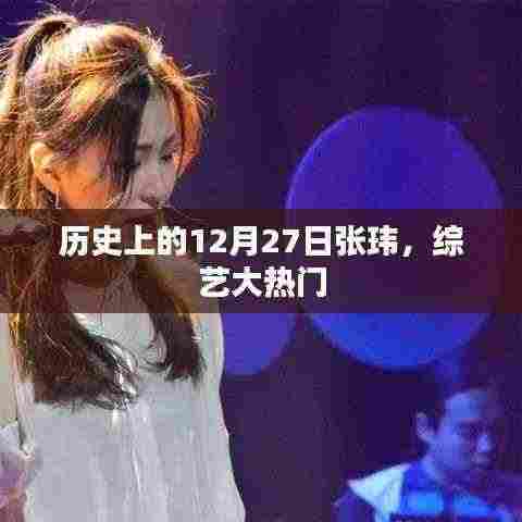 张玮,综艺巨星在历史上的闪耀时刻