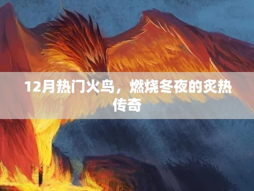 冬夜炙热传奇,十二月火鸟炙燃登场