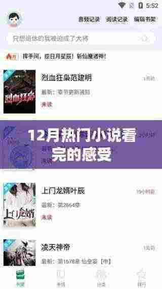 12月热门小说阅读心得分享