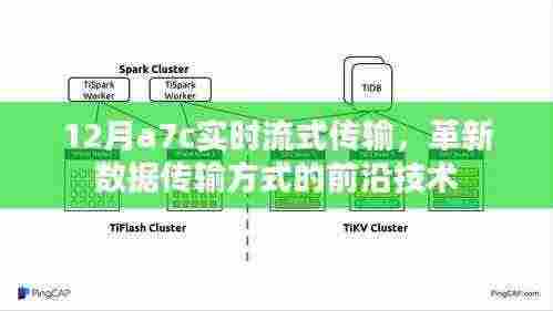 革新数据传输,A7C实时流式传输前沿技术解析