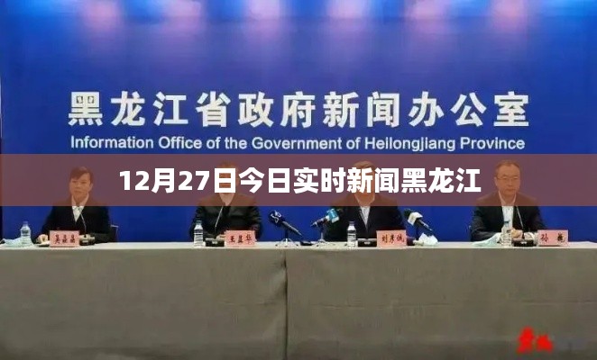 黑龙江最新实时新闻简报,聚焦时事热点