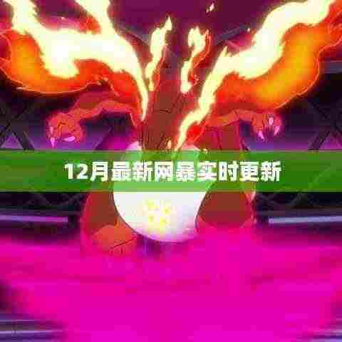 网暴最新动态,12月实时更新情报