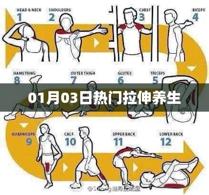 热门拉伸养生法,助你健康生活每一天