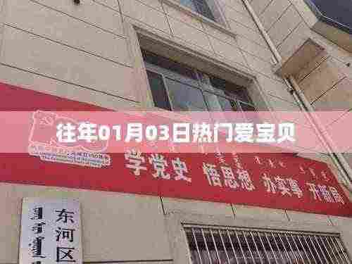 往年1月3日爱宝贝热点回顾