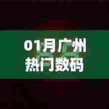 广州数码管电话查询，最新热门联系方式公布