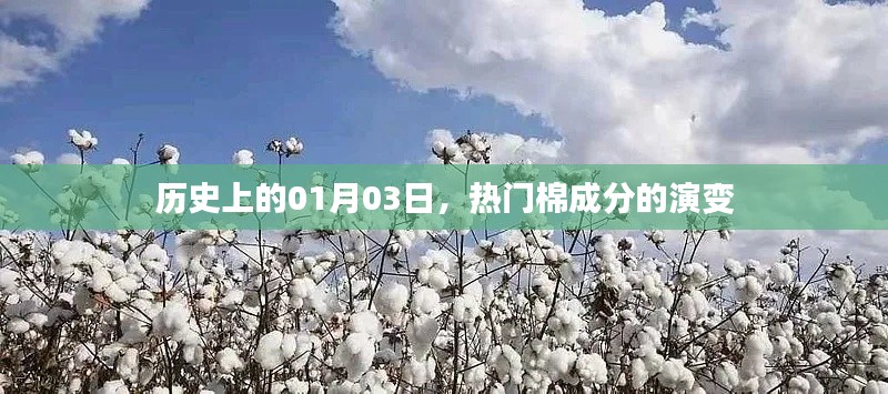 棉成分演变历程,历史上的1月3日这一天
