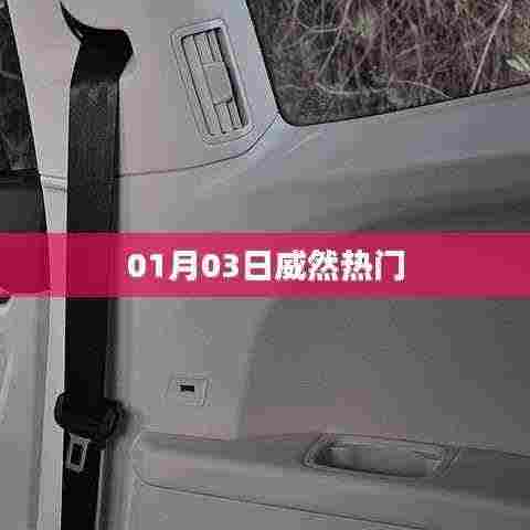 威然热门事件,揭秘背后的故事